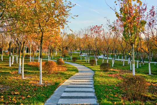 公園步道高清大圖