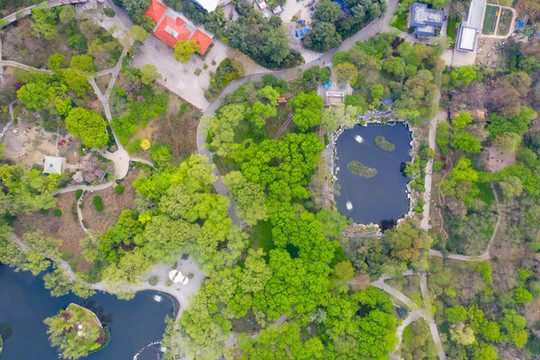 航拍濟南泉城公園春色滿園10