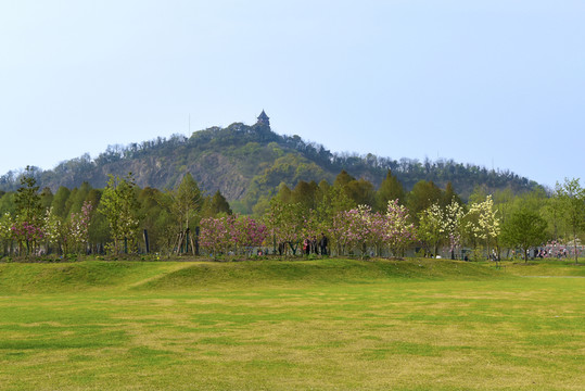 上海辰山植物園
