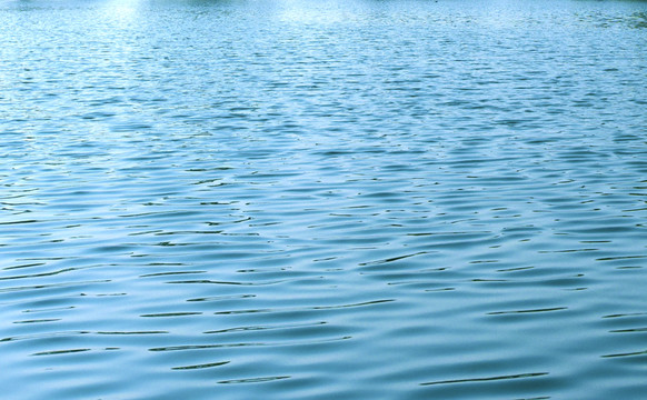 水紋