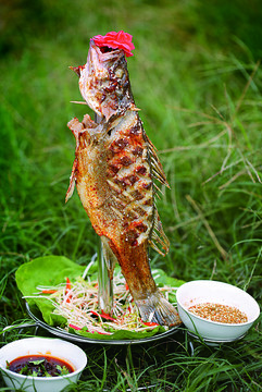 吊燒鱸魚