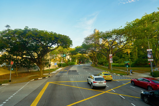 雙層巴士上層往外看的城市街景