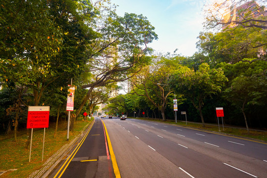 雙層巴士上層往外看的城市街景