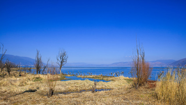 云南大理洱海風(fēng)景