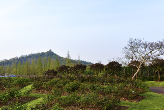 上海辰山植物園