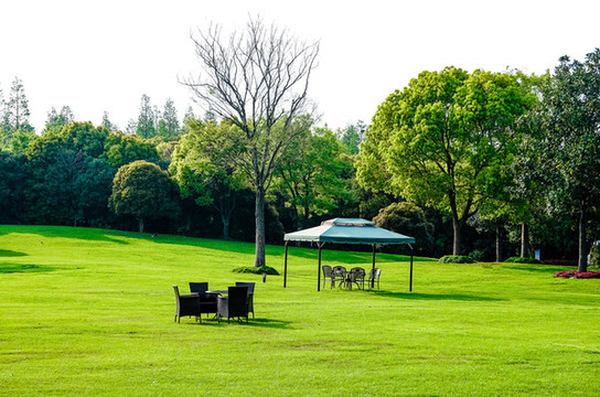 上海崇明島明珠湖公園