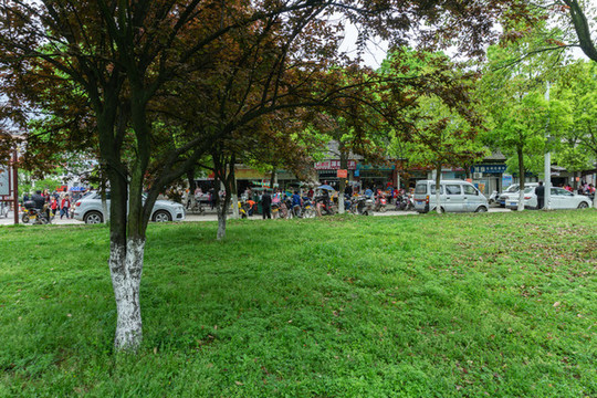公園小道