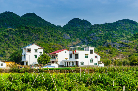 美麗鄉(xiāng)村