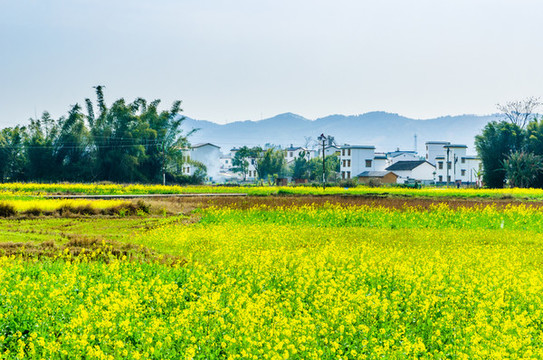 美麗鄉(xiāng)村