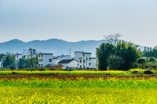 美麗鄉(xiāng)村