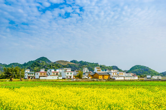 美麗鄉(xiāng)村