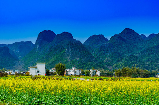美麗鄉(xiāng)村
