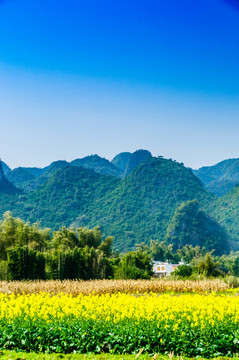 山景田園風(fēng)光