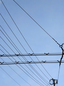 天空電線素材