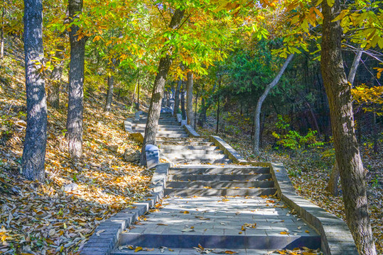 登山步道高清大圖