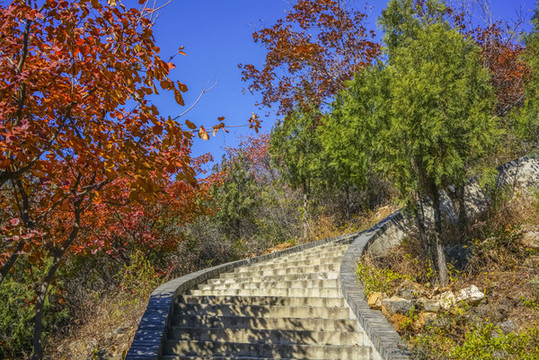 登山步道高清大圖