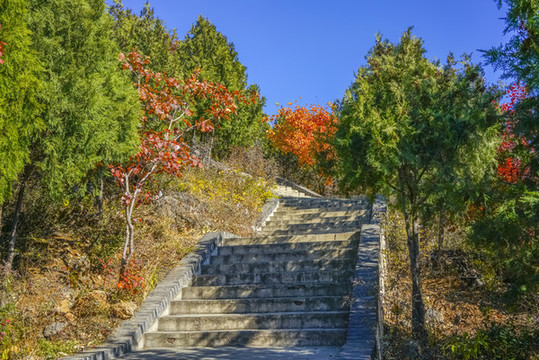 登山步道高清大圖