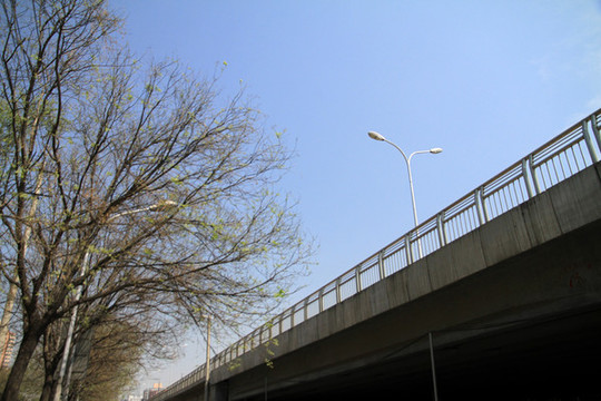 路燈