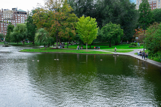 公園