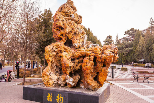 清華大學(xué)假山石