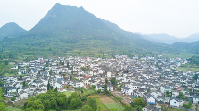 新葉古村