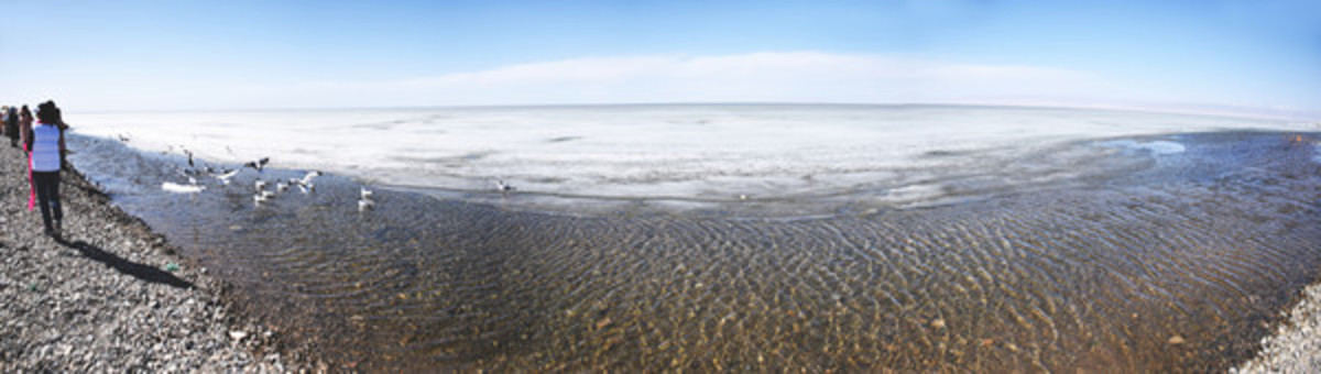 青海湖