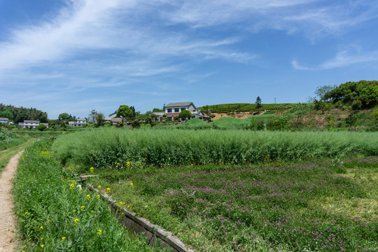 美麗鄉(xiāng)村