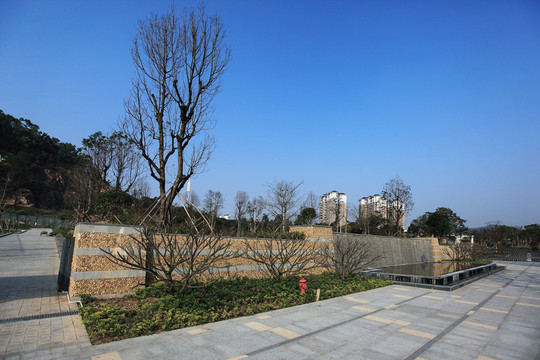 金字山公園印象