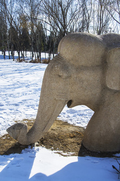 鞍山孟泰公園大象頭部石雕像雪景