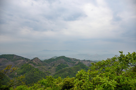 森林公園