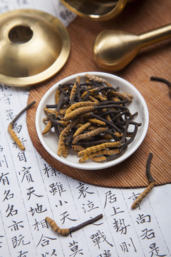 頂級冬蟲夏草