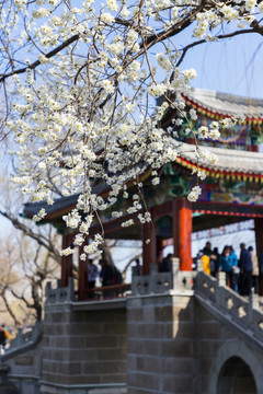 頤和園