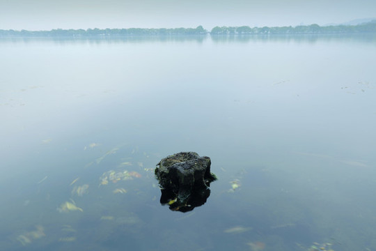 春雨西湖
