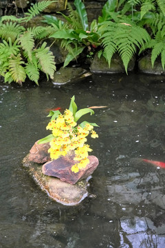 蘭花