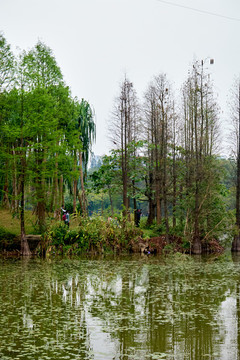 華南植物園