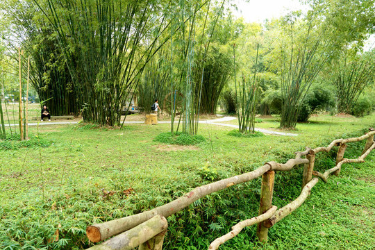 華南植物園