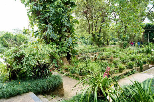 植物園