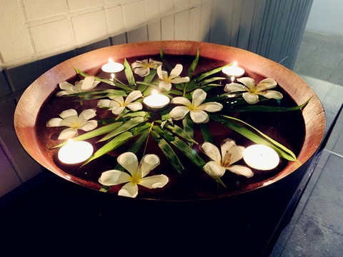 雞蛋花