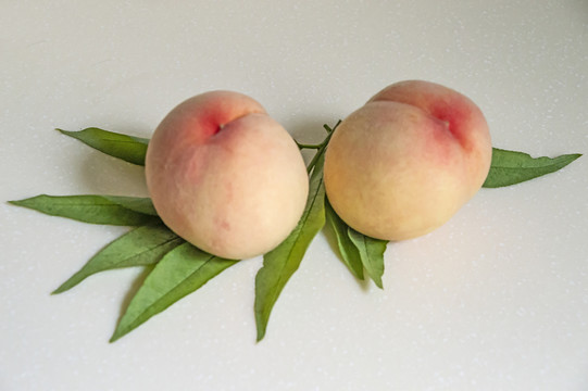 陽山水蜜桃