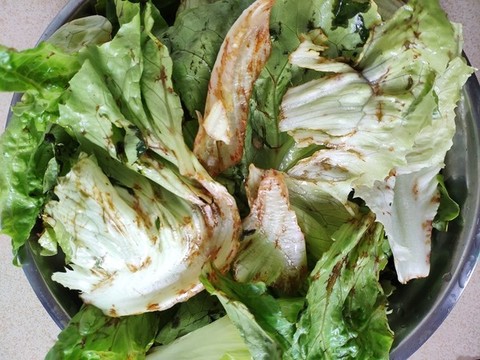 腐爛的蔬菜