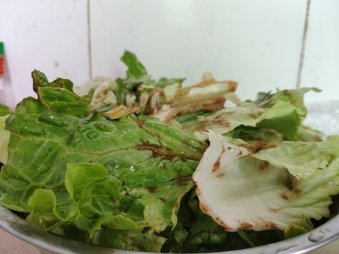變質(zhì)的蔬菜