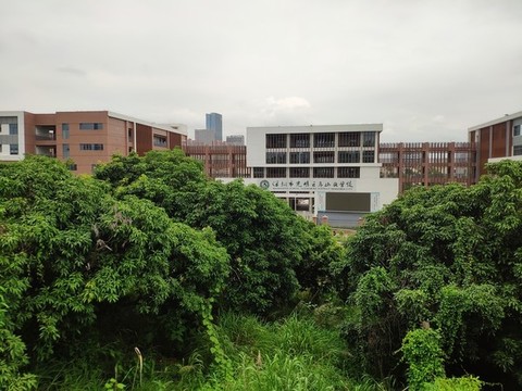 環(huán)境優(yōu)美的校園