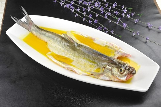 太湖白水魚(yú)