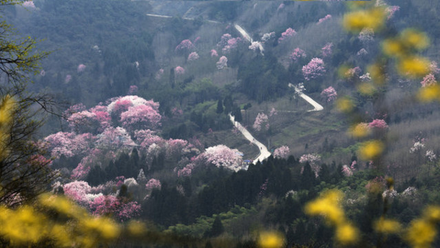 吳家后山