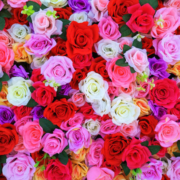 玫瑰花墻