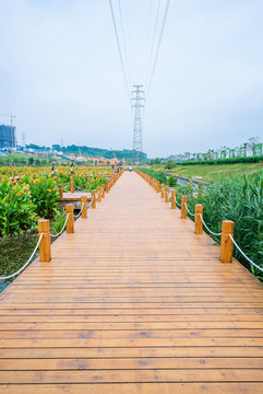 南寧那考河濕地公園木板路