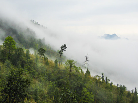 大明山風(fēng)景區(qū)