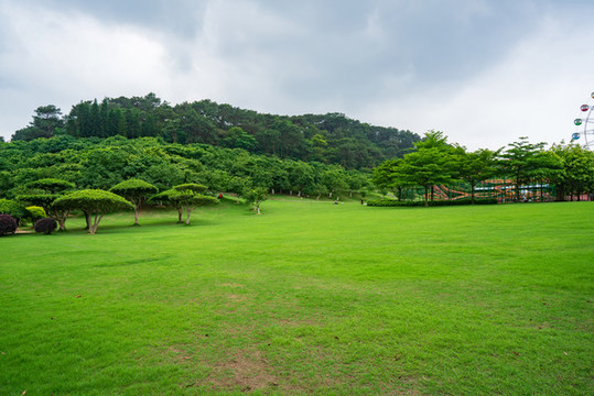 城市陽(yáng)光草地草坪綠樹(shù)林背景素材