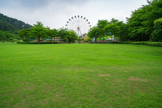 城市陽(yáng)光草地草坪綠樹(shù)林背景素材