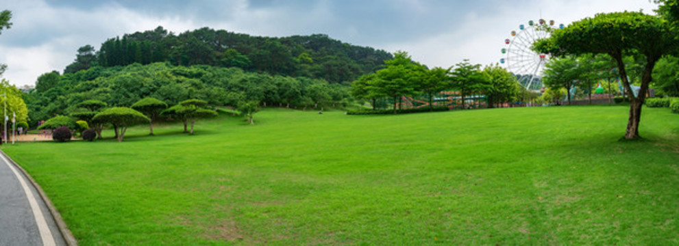 城市陽光草地草坪綠樹林全景圖